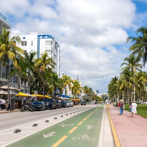 A sunny tropical street lined with palm trees, modern buildings, outdoor caf&eacute;s, bikeway and sidewalk along the coast. End.