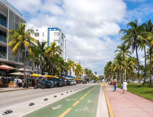 A sunny tropical street lined with palm trees, modern buildings, outdoor caf&eacute;s, bikeway and sidewalk along the coast. End.