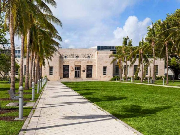A modern building set on a manicured lawn with palm trees lining a wide concrete path, sunny sky, and a peaceful academic vibe.