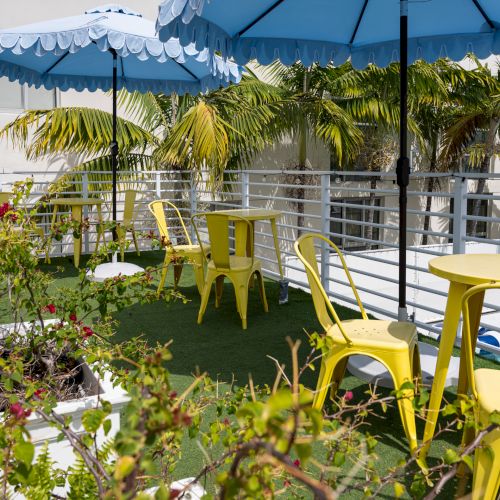Sunny courtyard patio with blue awnings, yellow chairs and tables, lush plants and palm trees, by a small pool.